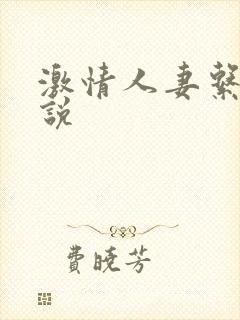 激情人妻系列小说