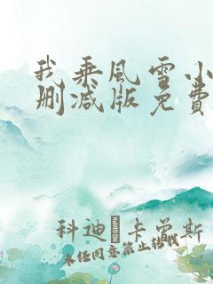 我乘风雪小说无删减版免费阅读