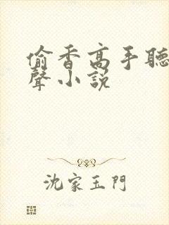 偷香高手听书有声小说