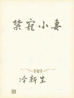 禁宠小妻