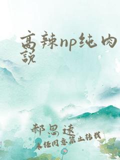 高辣np纯肉小说