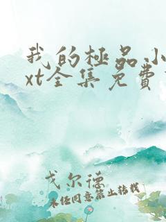我的极品小姨txt全集免费下载
