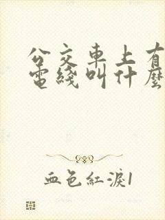 公交车上有两根电线叫什么车