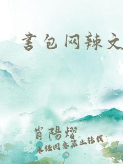 书包网辣文