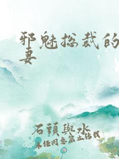 邪魅总裁的替身妻