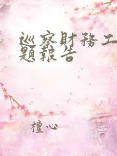 巡察财务工作专题报告