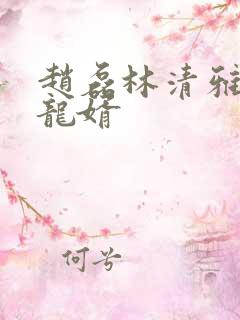 赵磊林清雅上门龙婿