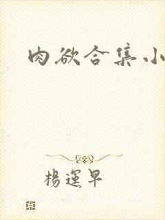 肉欲合集小说