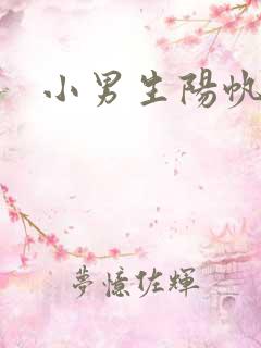 小男生阳帆