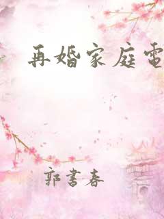 再婚家庭电视剧