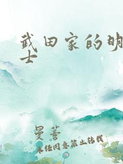 武田家的明国武士