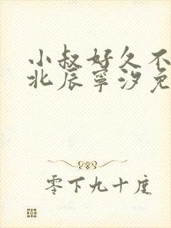 小叔好久不见顾北辰宁汐免费阅读