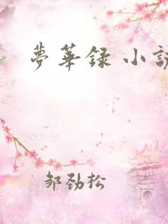 梦华录 小说