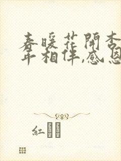 春暖花开杏8十年相伴,感恩有你