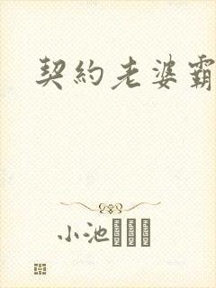 契约老婆霸总裁
