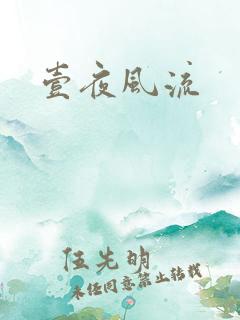 壹夜风流