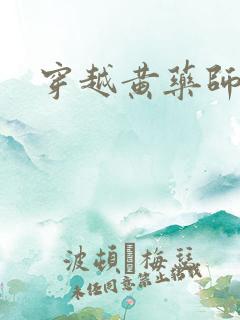 穿越黄药师之子