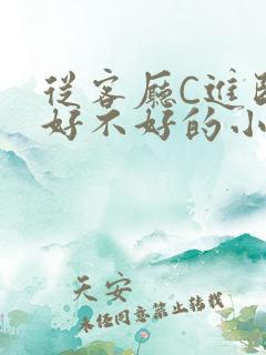 从客厅C进卧室好不好的小说