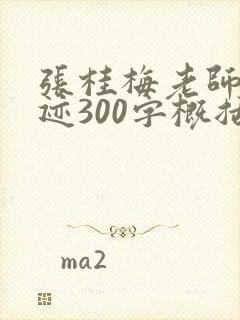 张桂梅老师的事迹300字概括