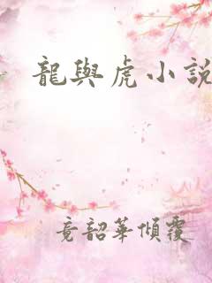 龙与虎小说