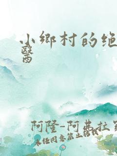小乡村的绝色神医