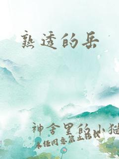 熟透的岳
