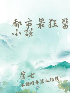 都市最狂医仙 小说
