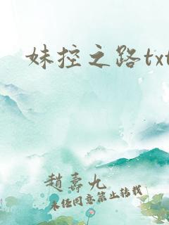 妹控之路txt