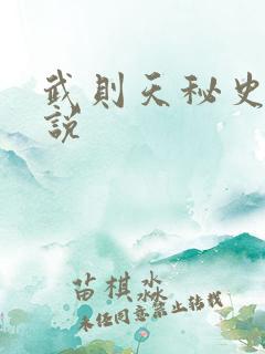 武则天秘史 小说