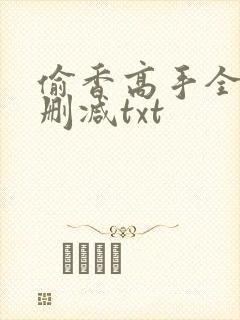 偷香高手全文无删减txt