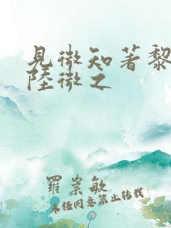 见微知著黎见卿陆微之