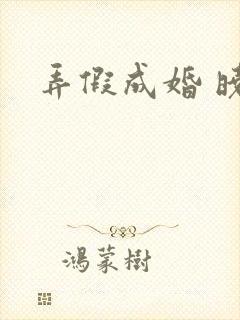 弄假成婚 晓月