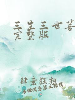 三生三世菩提劫完整版