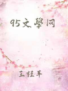 95文学网