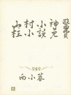山村小神医王铁柱小说免费阅读