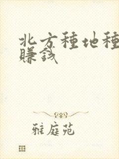 北方种地种什么赚钱