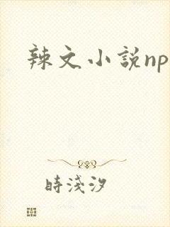 辣文小说np文