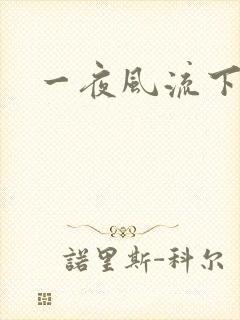 一夜风流下载