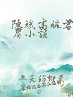 陈斌高婉君赵心眉小说
