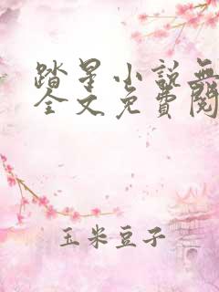 踏星小说无弹窗全文免费阅读