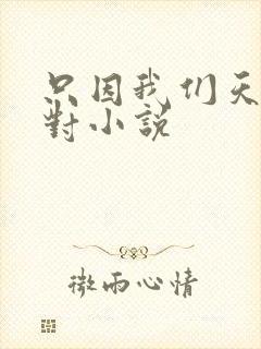 只因我们天生一对小说