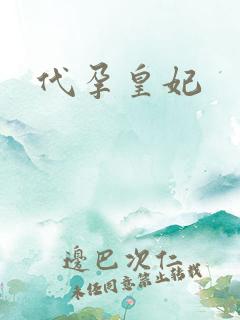 代孕皇妃