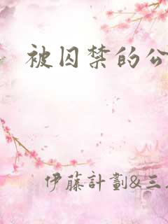 被囚禁的公主
