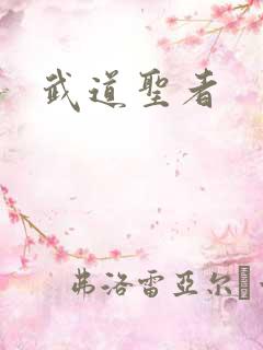 武道圣者