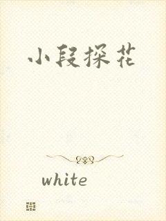 小段探花