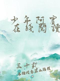 少 年 阿 宾 在 线 阅 读