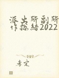 派出所副所长工作总结2022