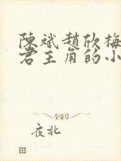 陈斌赵欣梅高婉君主角的小说