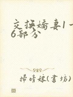 交换娇妻1一36部分