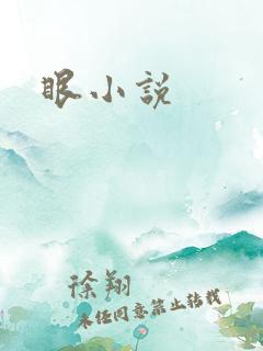 眼小说